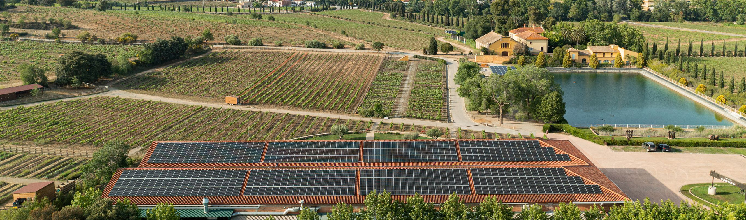 Protected: Sustainable water solutions for one of Spain‘s leading wine producers