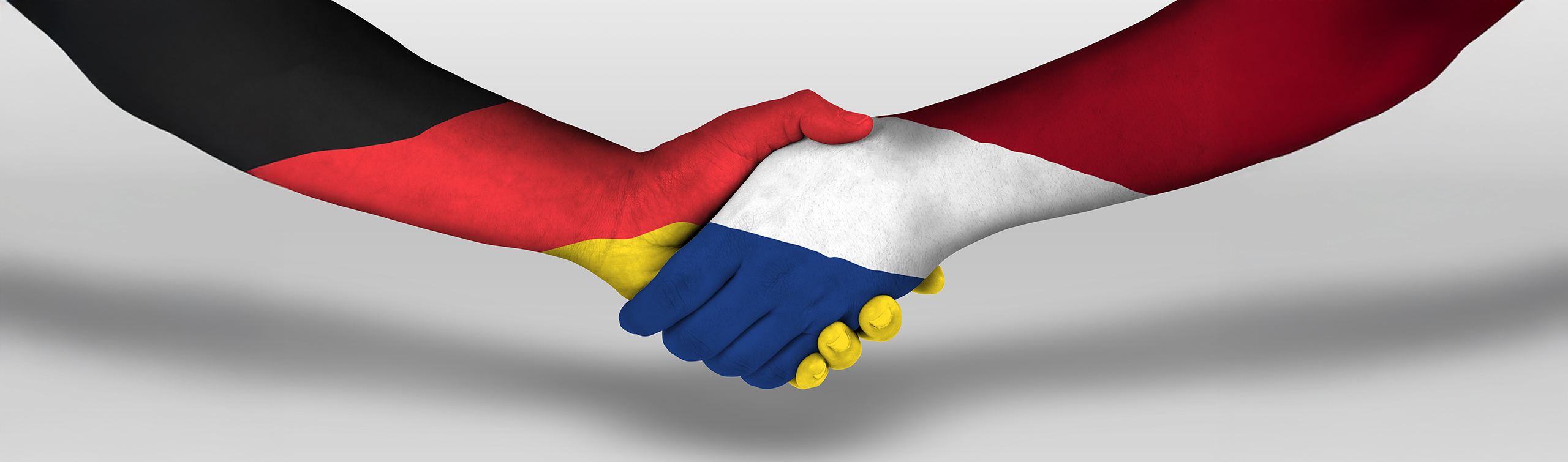 Meeting the King of the Netherlands