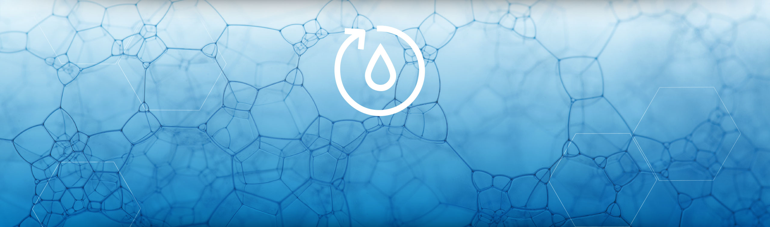 Wastewater: a valuable raw material